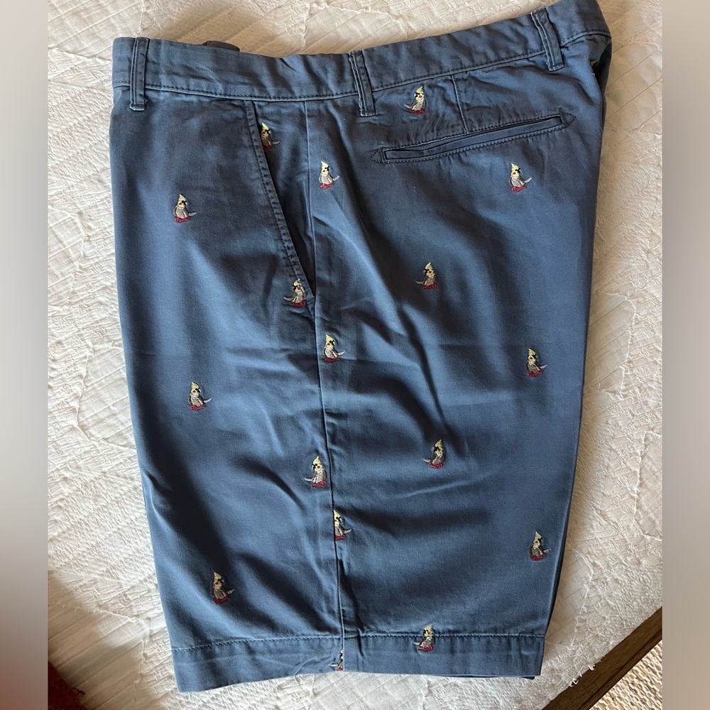 Men's blue Embroidered Shorts